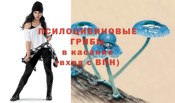 гидропоника Абинск