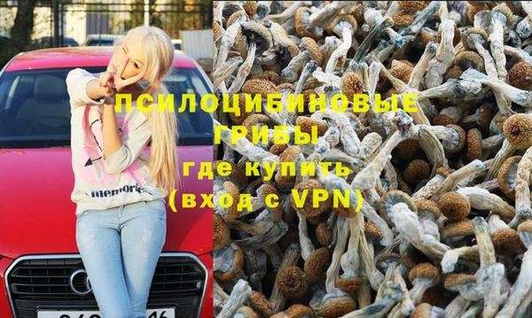 гидропоника Абдулино