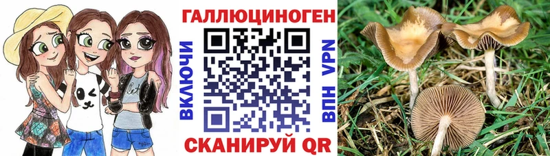 Псилоцибиновые грибы ЛСД Электросталь