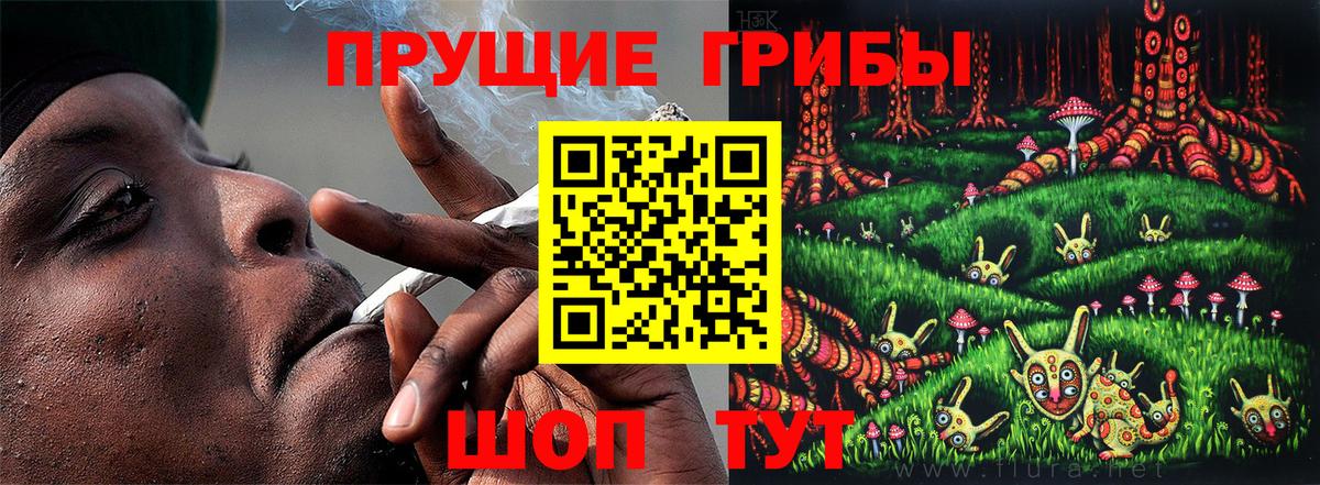 Псилоцибиновые грибы Psilocybine cubensis  Вход с VPN  где продают   Электросталь  Псилоцибиновые грибы прущие грибы 